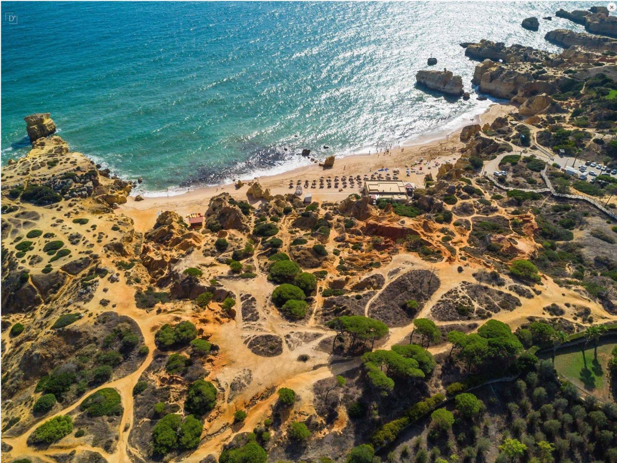 Appartement Beachside Bliss T2 With Pool & Access By Drago